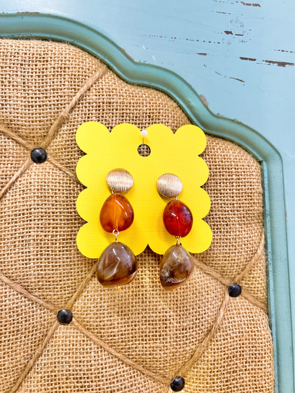 Shades of Brown Earrings