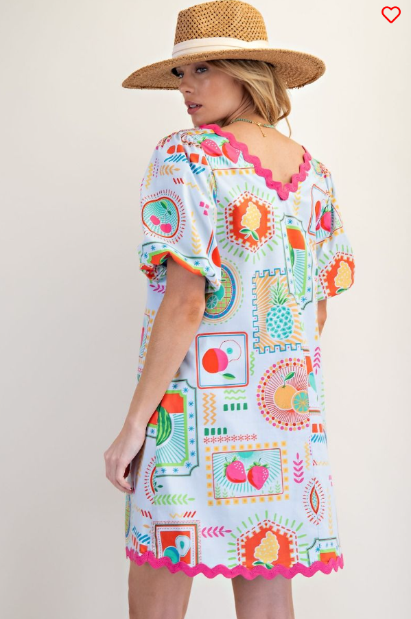Powder Blue Poplin Dress